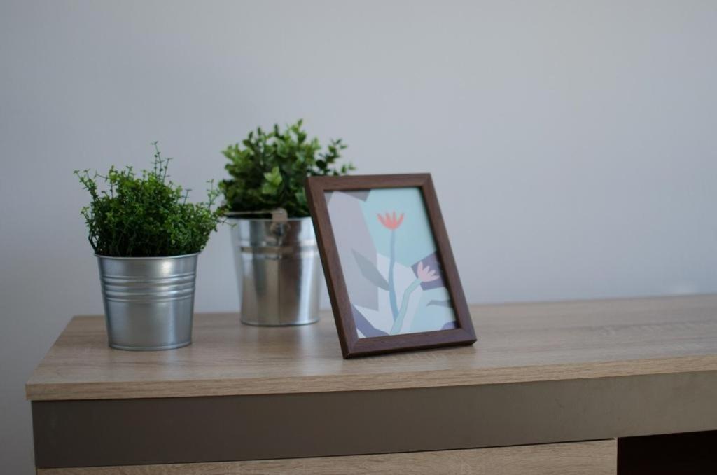 Bright Apartment Near Cismigiu And Old Town Bukareszt Zewnętrze zdjęcie
